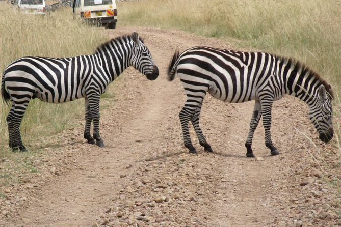 Half-Day Nairobi National Park Tour From Nairobi - Good To Know