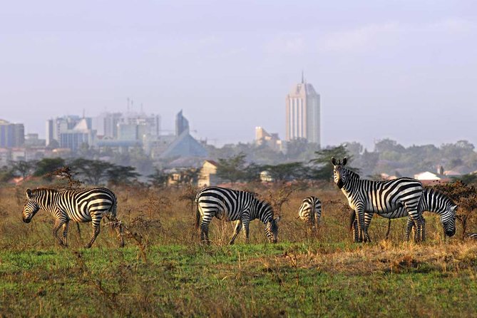 Half Day Nairobi National Park Tour PARK FEES EXCLUSIVE From Nairobi - Good To Know