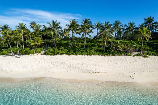 Half-Day Nassau Getaway: Rose Island Snorkeling & Turtle Visit - Good To Know