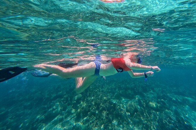 Half-Day Nassau Getaway: Rose Island Snorkeling & Turtle Visit - Authentic Experiences and Notable Insights from Past Travelers