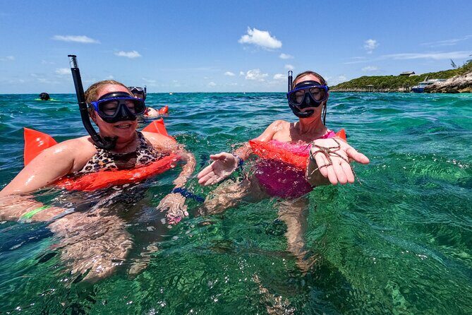 Half-Day Nassau Getaway: Rose Island Snorkeling & Turtle Visit - The Sum Up