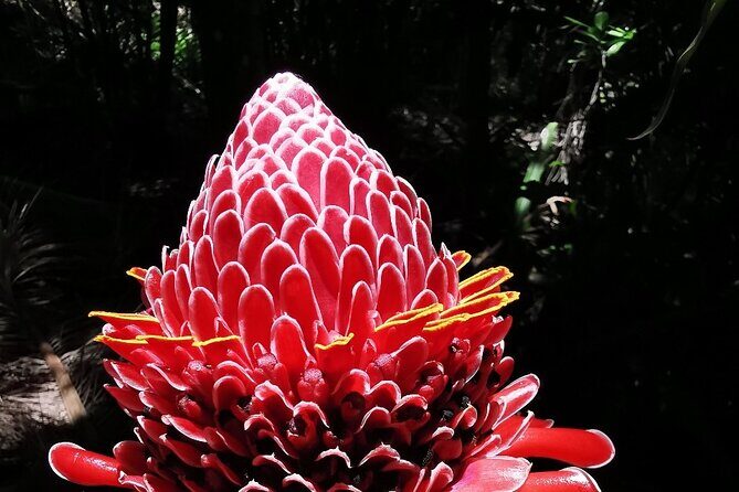 Half-Day Nature Culture Excursion, Tropical Taino Garden Tour - What to Expect from the Tropical Taino Garden Tour