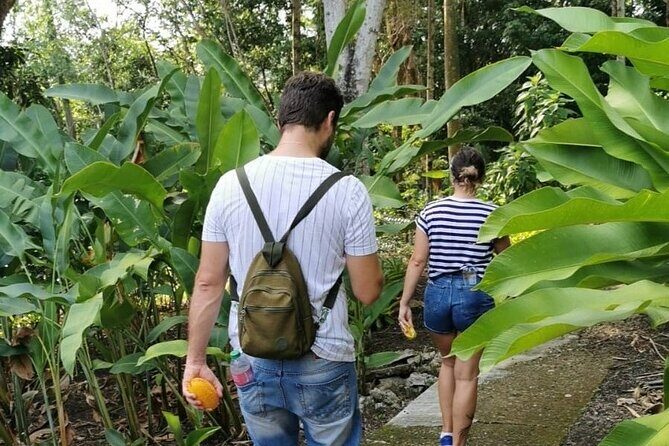 Half-Day Nature Culture Excursion, Tropical Taino Garden Tour - Who Should Consider This Tour?