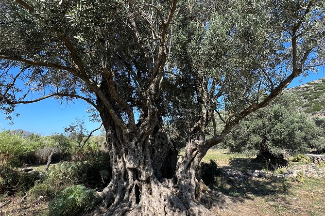 Half Day Naxos Village Private Tour - Itinerary Overview