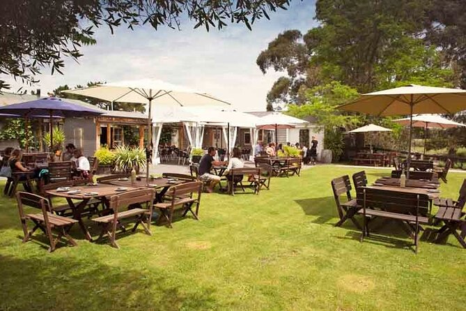 Half-Day North Canterbury Vineyard Tour From Lyttelton  - Christchurch - Tour Experience