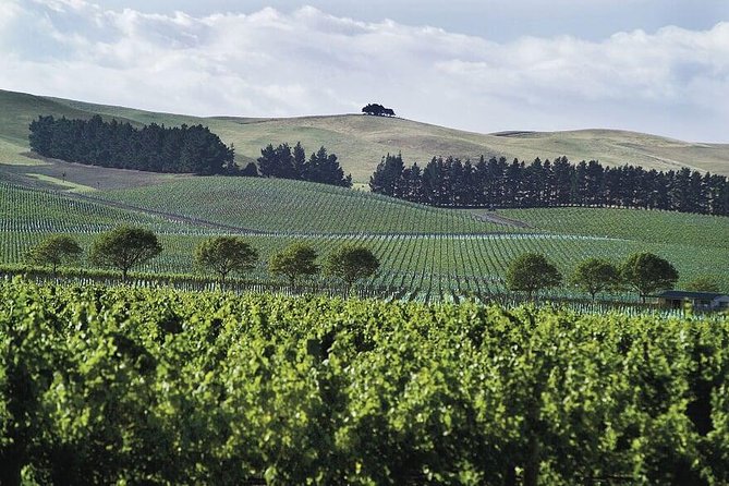 Half-Day North Canterbury Vineyard Tour From Lyttelton  - Christchurch - Scenic Bus Tour to Wineries