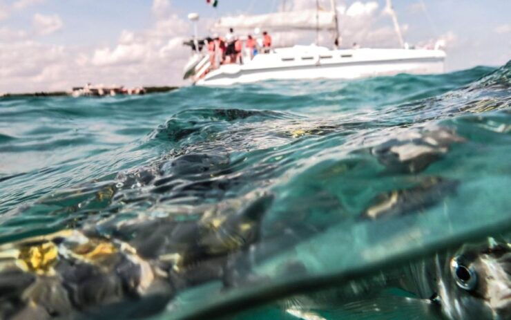 Half-Day Nude Cruise Experience at Maroma Beach - Booking Information