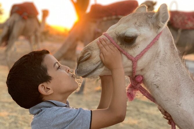 Half Day of Quad and Camel Ride With Moroccan Tagine at Lunch - The Sum Up