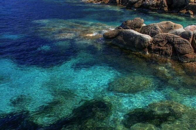 Half Day of Snorkeling and a Swim on Elba Island - Overview of Elba Island