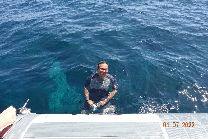 Half Day of Snorkeling and a Swim on Elba Island - Snorkeling Experience Highlights