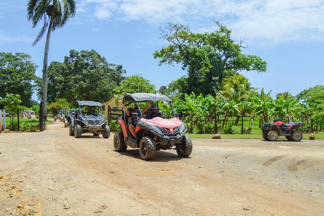 Half-Day Off-Road Buggy Tour With Macao Beach - Punta Cana - Cancellation Policy