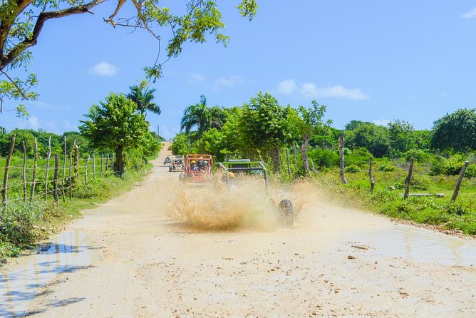 Half-Day Off-Road Buggy Tour With Macao Beach - Punta Cana - Macao Beach and Cave Pool Experience