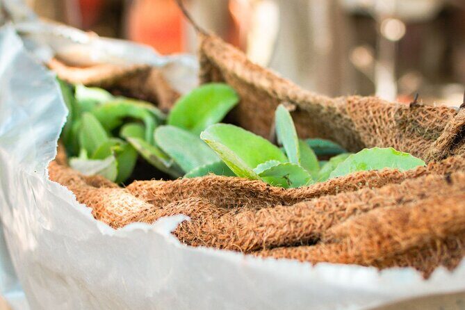 Half Day Off-Road & Snorkel Safari - Transportation, Timing, and Group Size