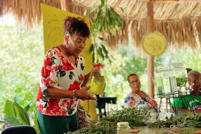 Half Day Off-Road & Snorkel Safari - Is It Worth the Price?