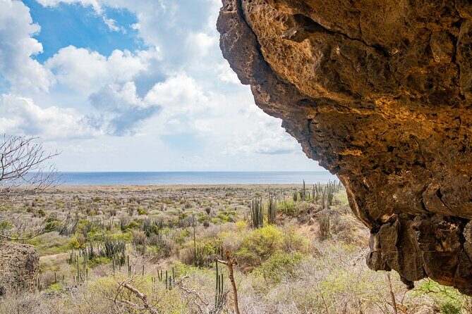 Half Day Off-Road & Snorkel Safari - Who Should Consider This Tour?