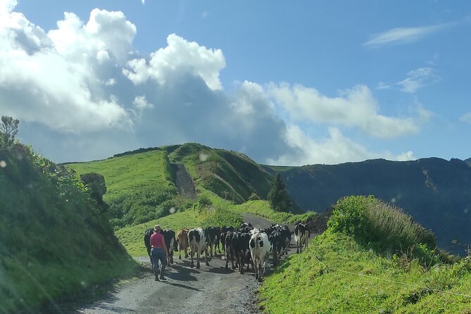 Half Day Off Road Tour in Azores - The Sum Up