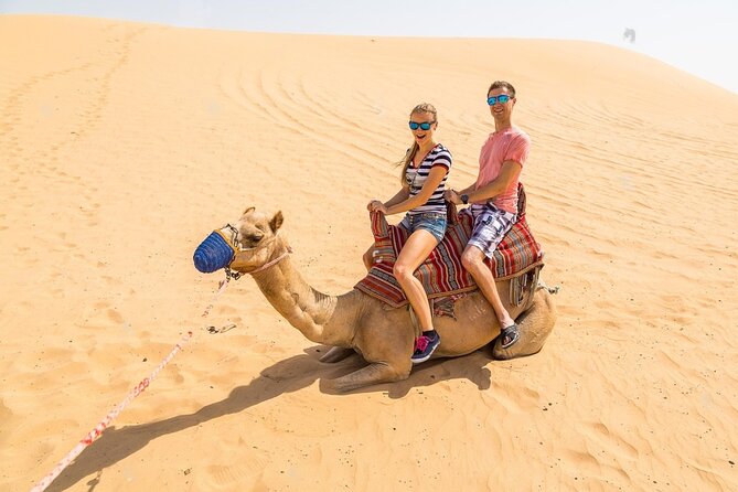 Half Day Old and New Dubai City Tour Desert SafariFrame Ticket - Experiencing the Thrill of a Desert Safari