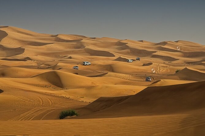 Half Day Old and New Dubai City Tour Desert SafariFrame Ticket - Important Information and Tips for Your Experience