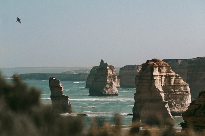 Half-Day or Full-Day Tour With Private Guide From Melbourne - Tour Details