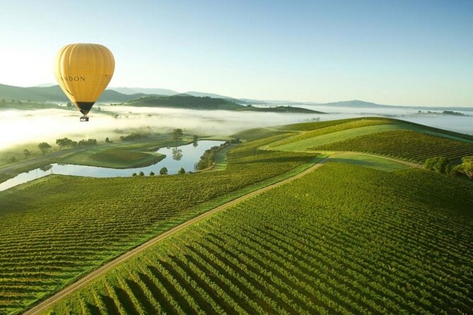 Half-Day or Full-Day Tour With Private Guide From Melbourne - Reviews and Ratings