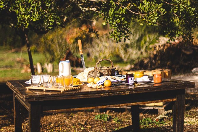 Half-Day-Orange Picking &Jam Cooking/Lunch With the Orange Farmer - Additional Information