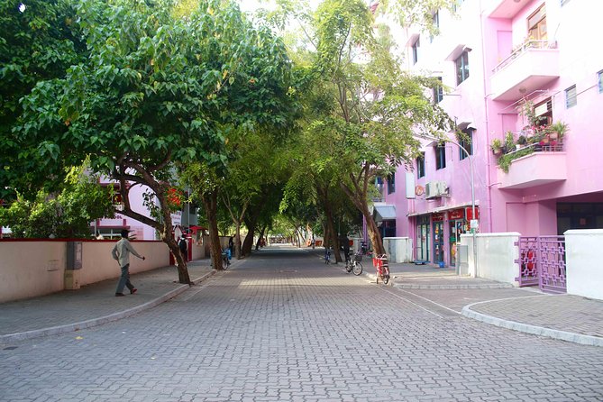 Half-Day Original Eco Tour to Villimale From Malé - Meeting Point and Time