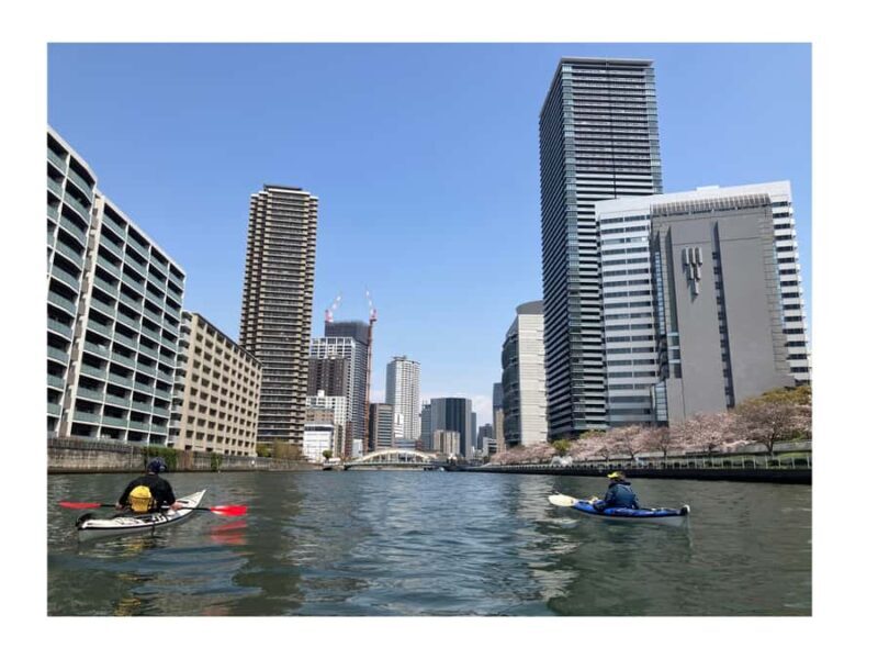 Half Day Osaka City Kayak tour - An In-Depth Look at the Osaka City Kayak Tour