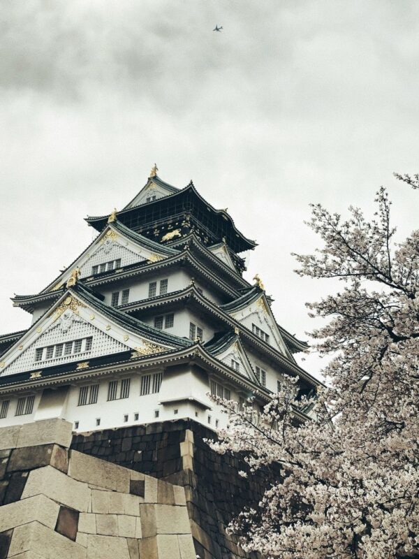 Half-Day Osaka Off-The-Beaten-Path City Exploration Walking Tour - What to know before you book
