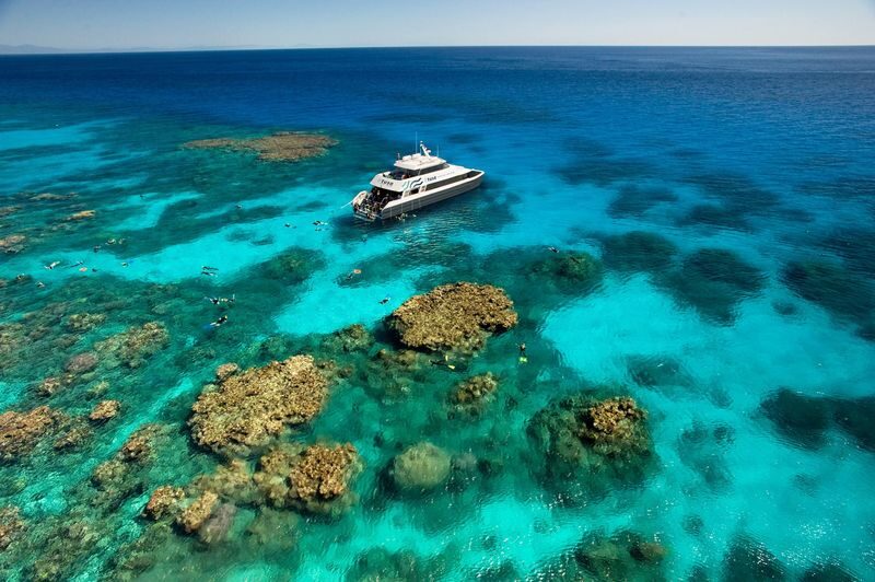 Half-Day Outer Reef Snorkel Experience from Cairns - The details that matter
