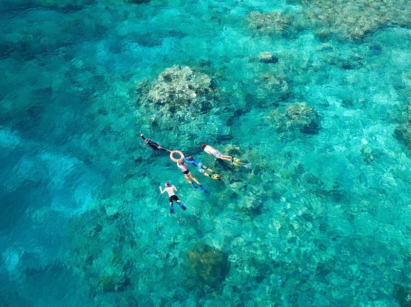 Half-Day Outer Reef Snorkel Experience from Cairns - Weather, safety and what to pack