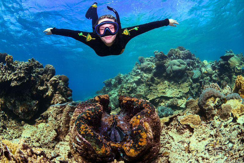 Half-Day Outer Reef Snorkel Experience from Cairns - Should you book this Cairns reef trip?
