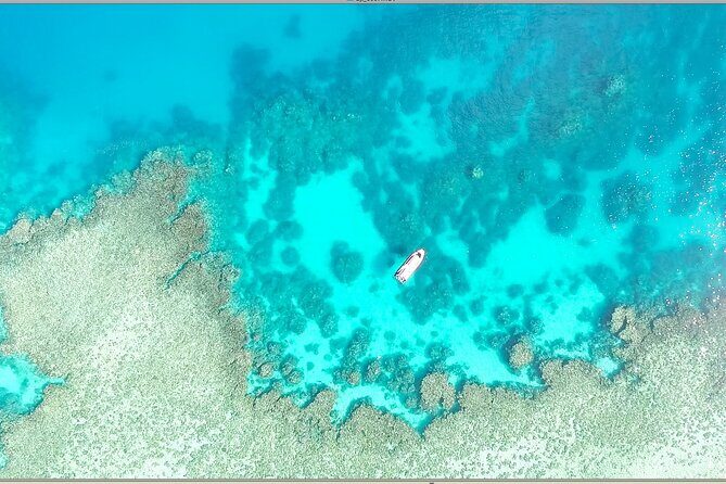 Half Day Outer Reef Snorkelling Tour from Port Douglas - An In-Depth Look at the Tour