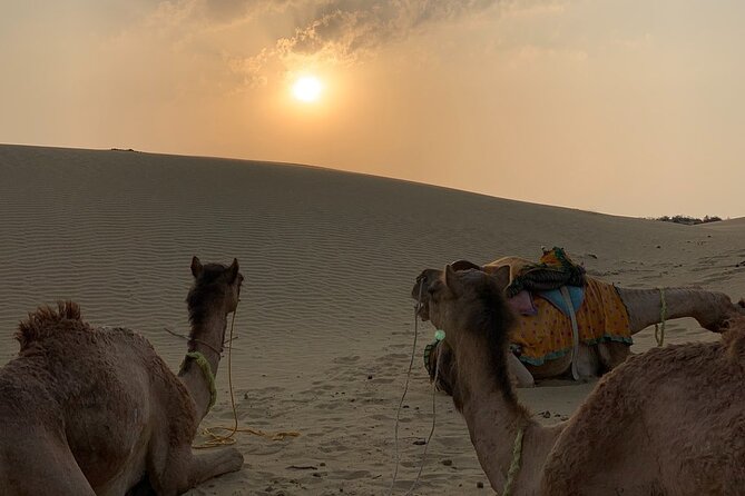 Half Day Overnight Desert Tour (Non Touristic) - Tour Highlights