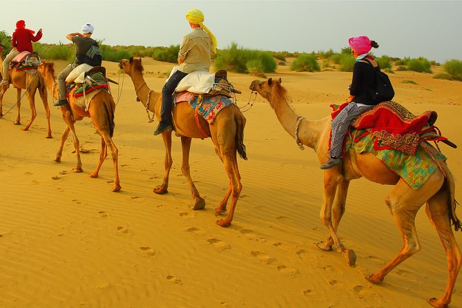 Half Day Overnight Desert Tour (Non Touristic) - Itinerary Details