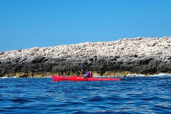 Half Day Paklinski Islands Sea Kayak Tour - The Itinerary: What to Expect