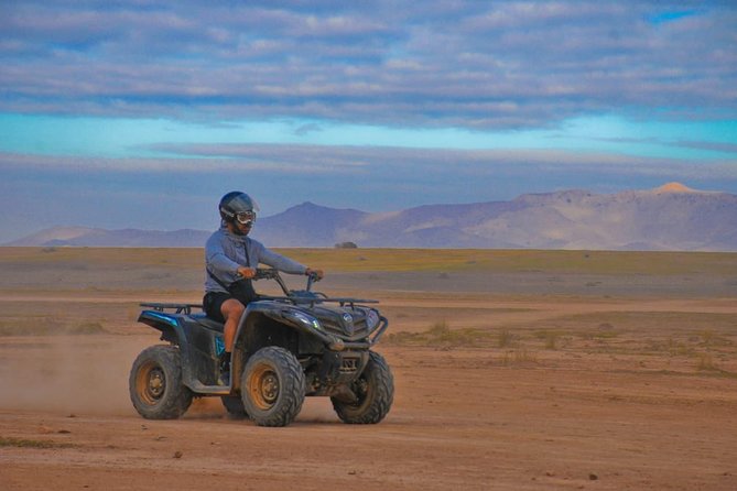 Half-Day Palm Grove Desert Quad & Camel Tour - Tour Overview