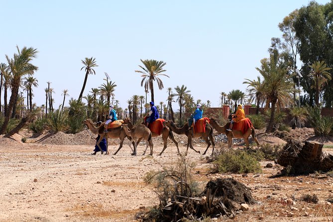 Half-Day Palm Grove Desert Quad & Camel Tour - Pickup and Directions