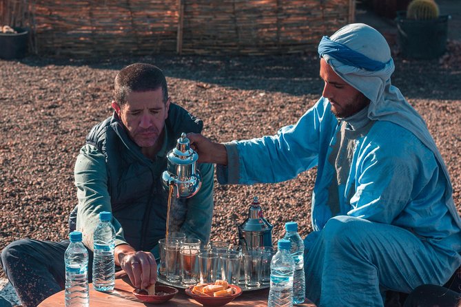 Half Day Palmeraie Quad - What To Expect