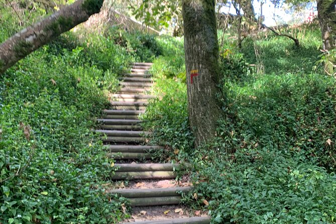 Half Day Park and Pena Palace and Sintra Village Private Tour - Tour Details and Directions