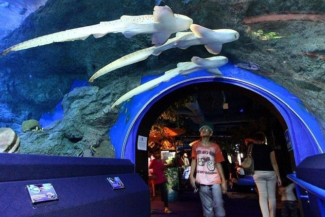 Half Day Pattaya Floating Market and Underwater World Pattaya Combo - Common Questions