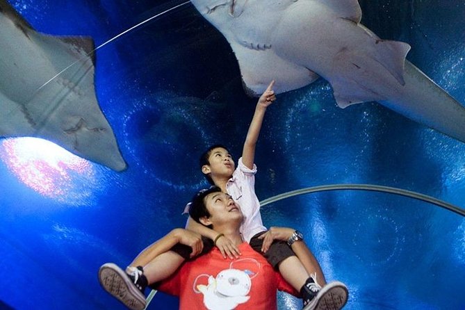Half Day Pattaya Floating Market and Underwater World Pattaya Combo - The Sum Up