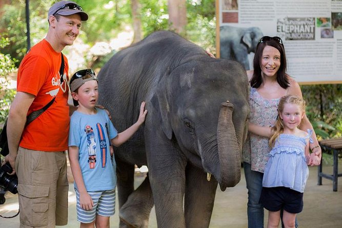 Half Day Phuket City Tour 1 Hr ATV Riding - Tour Inclusions