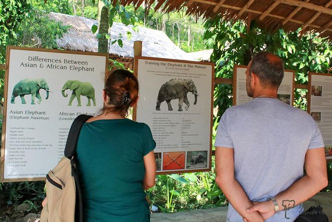 Half Day Phuket City Tour 1 Hr ATV Riding - Booking and Availability