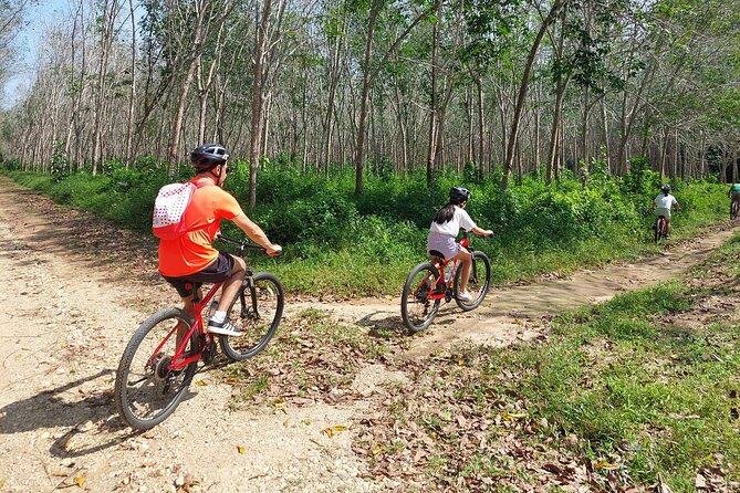 Half-Day Phukets Hidden Trails Biking Adventure Small-Group Tour - Common Questions