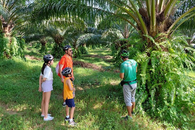 Half-Day Phukets Hidden Trails Biking Adventure Small-Group Tour - The Sum Up