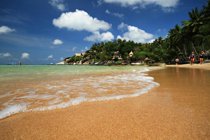Half-Day Pig Island & Snorkeling Experience - Islands and Scenic Views