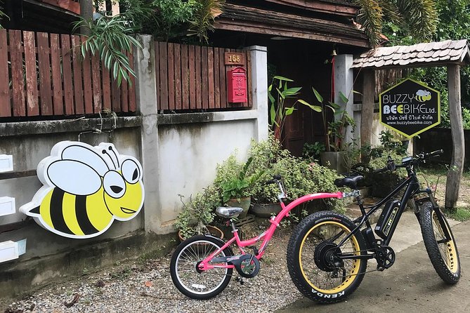 Half-Day Ping River and Rice Paddies E-Bike Adventure (Flat Land, Guided) - Tour Itinerary