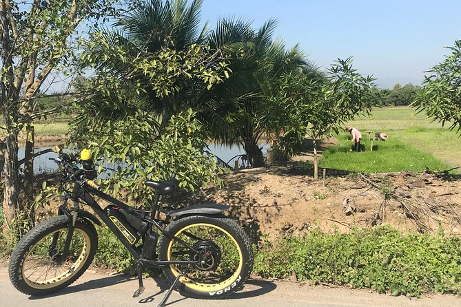 Half-Day Ping River and Rice Paddies E-Bike Adventure (Flat Land, Guided) - Tour Pricing and Availability