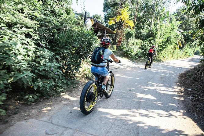 Half-Day Ping River and Rice Paddies E-Bike Adventure (Flat Land, Guided) - The Sum Up