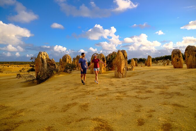 Half Day Pinnacles Sunset Tour - Reviews